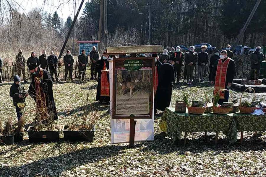 Ein Priester weiht junge Pflanzen