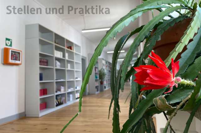 Drei Frauen auf einem Sofa