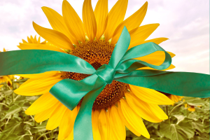 Werbematerial zum Thema "Eine Spende als Geschenk"