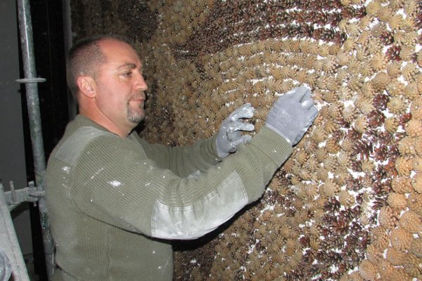 Don Domink Querimi baut an einem großen Mosaik aus Tannenzapfen