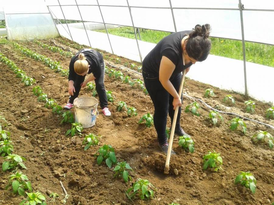 Zwei Frauen bei der Gartenarbeit