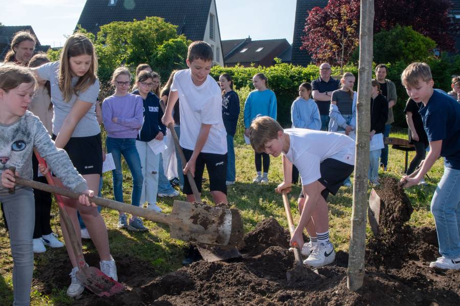 Vollen Einsatz zeigten die Schülerinnen und Schüler der bischöflichen Friedensschule in Münster beim Pflanzen ihres neuen Friedensbaums.<br><small class="stackrow__imagesource">Quelle: Bischöfliche Pressestelle/Ann-Christin Ladermann </small>