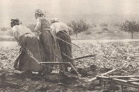 Drei Bäuerinnen ziehen einen Pflug, um 1917