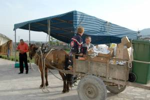 Pferd mit Anhänger zur Müllsammlung