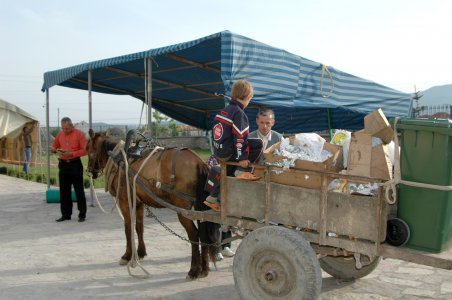 Pferd mit Anhänger zur Müllsammlung