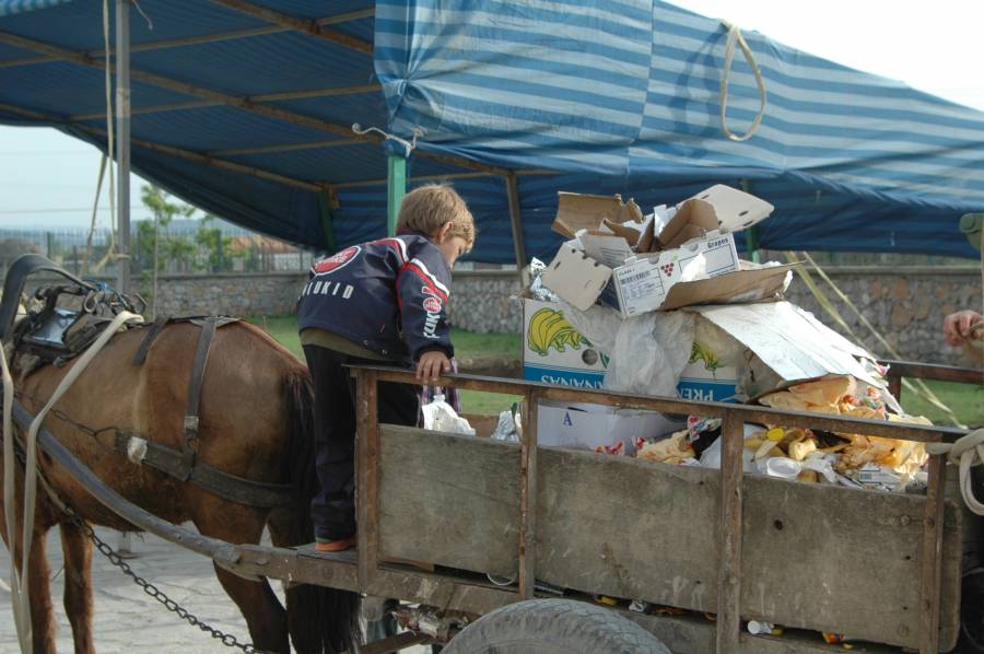 Müllsammlung durch Pferd und Anhänger