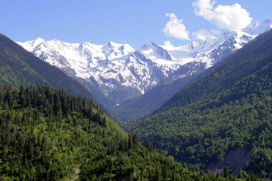 Waldgebiete im Kaukasus in der Region Swanetien