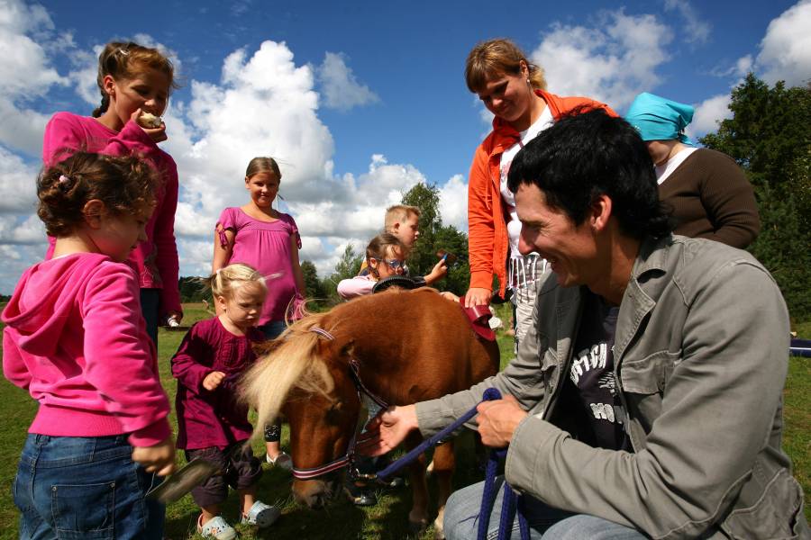 Kinder mit einem Pferd