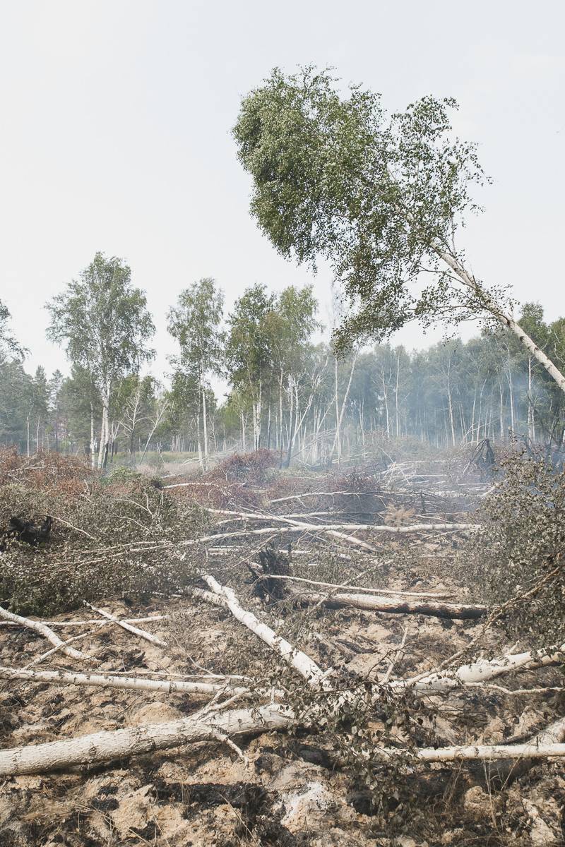 Ein Torfbrand in der Nähe von Selenginsk, Burjatien, Russland. Das Löschen würde drei bis fünf Tage dauern.